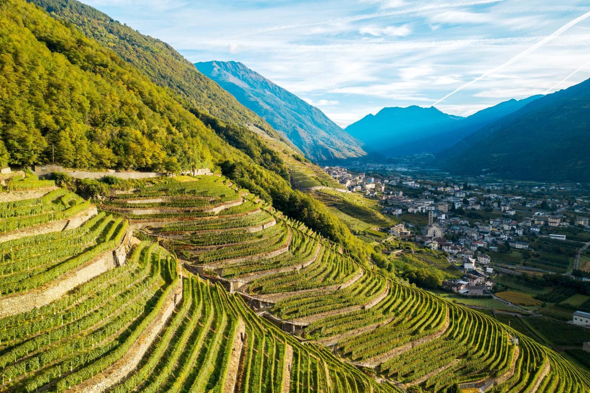Agriturismo B&B Caffe E Vino Sondrio Luaran gambar
